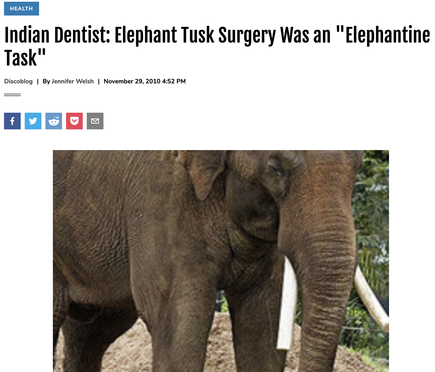 Indian Dentist: Elephant Tusk Surgery Was an “Elephantine Task”
