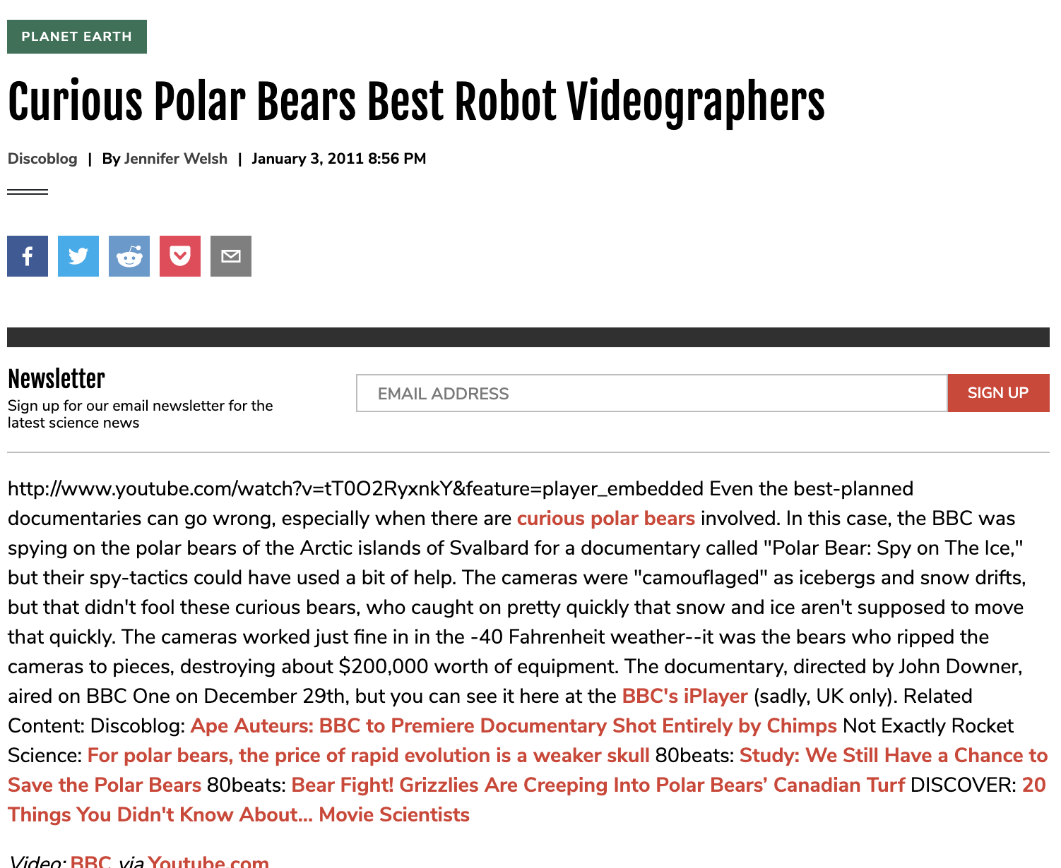 Curious Polar Bears Best Robot Videographers