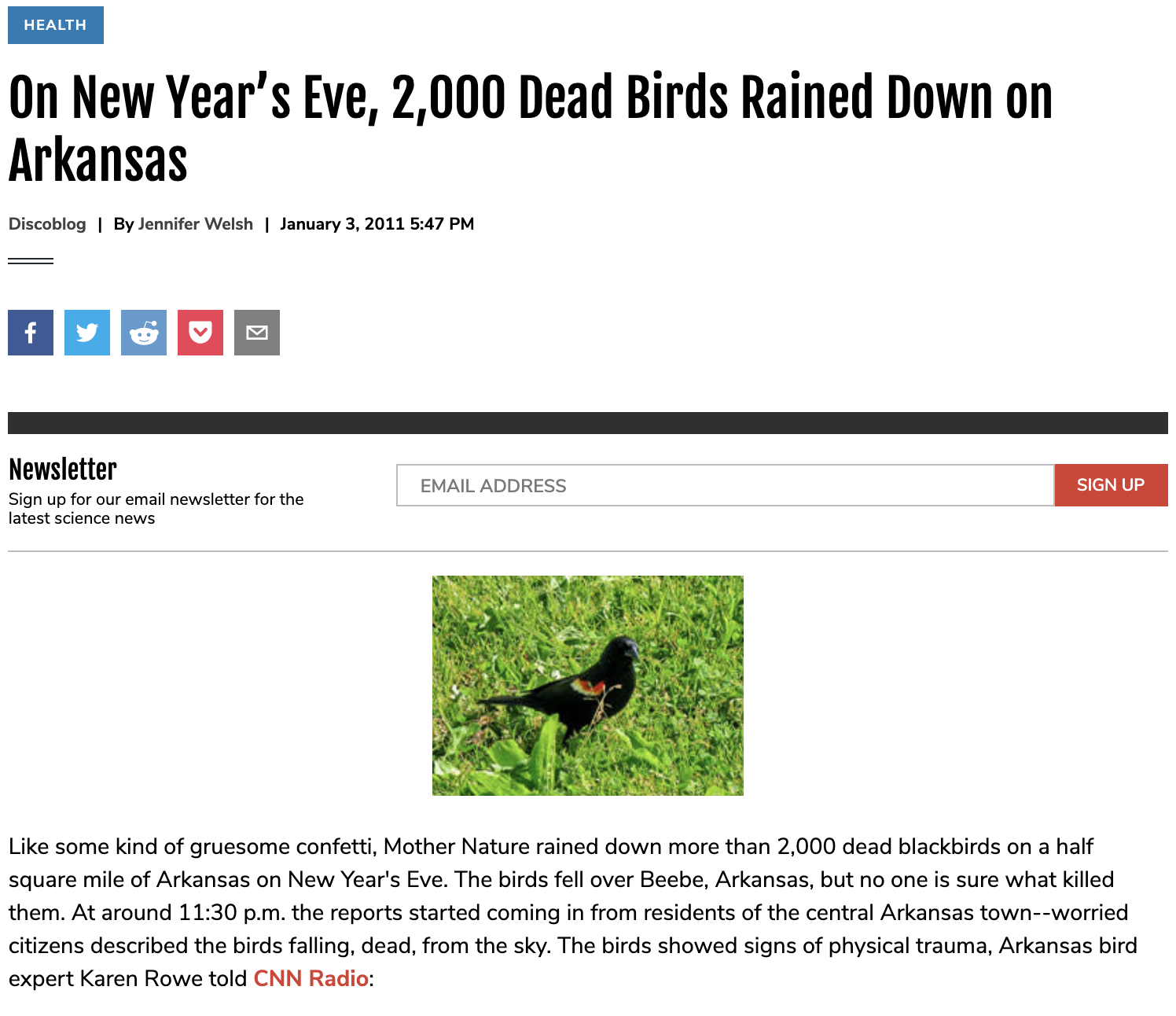 On New Year’s Eve, 2,000 Dead Birds Rained Down on Arkansas
