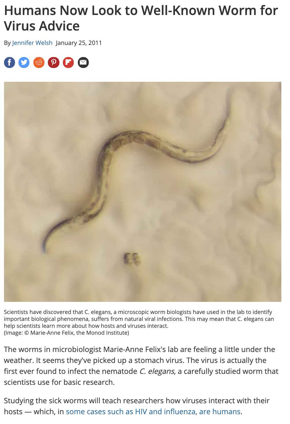 Humans Now Look to Well-Known Worm for Virus Advice